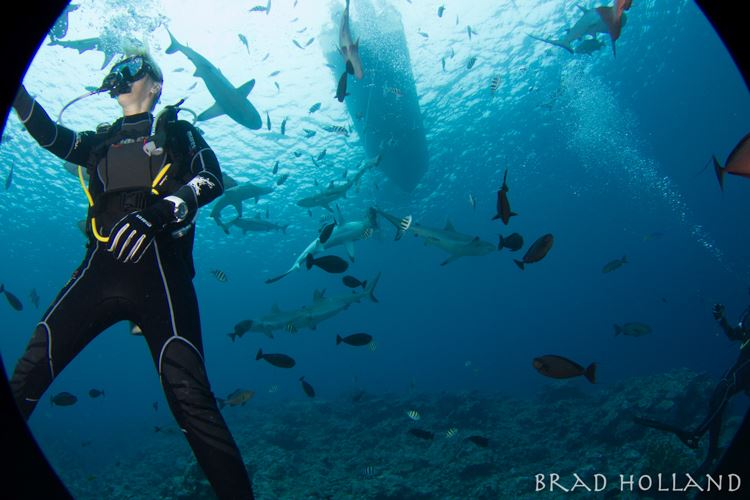 Margo on scuba with sharks.