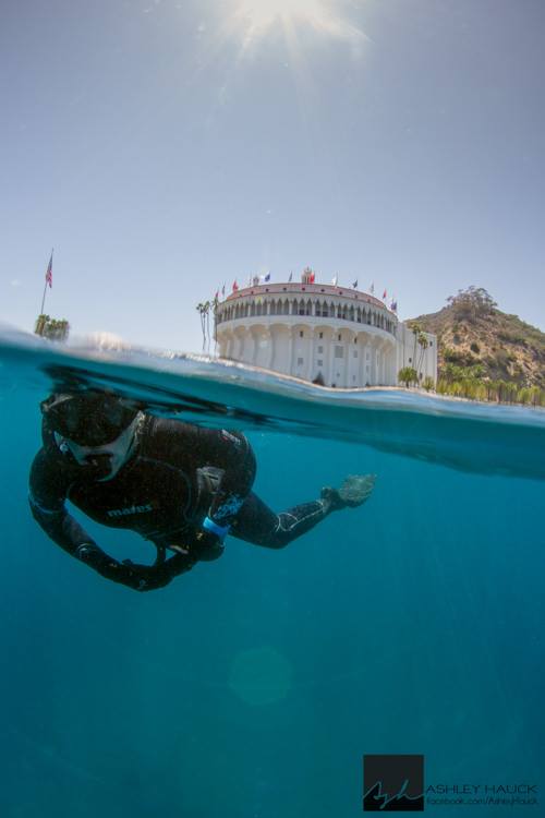 SSI freediving at Casino Point with Margo.