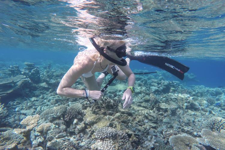 Crazy coral snorkeling with SEAC.