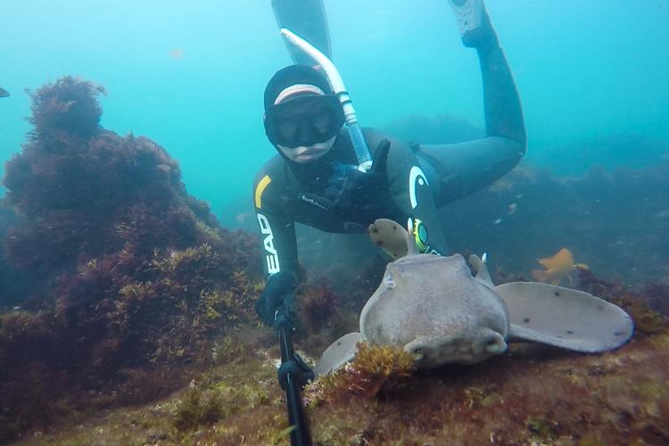 Margo photographing sharks while snorkeling.