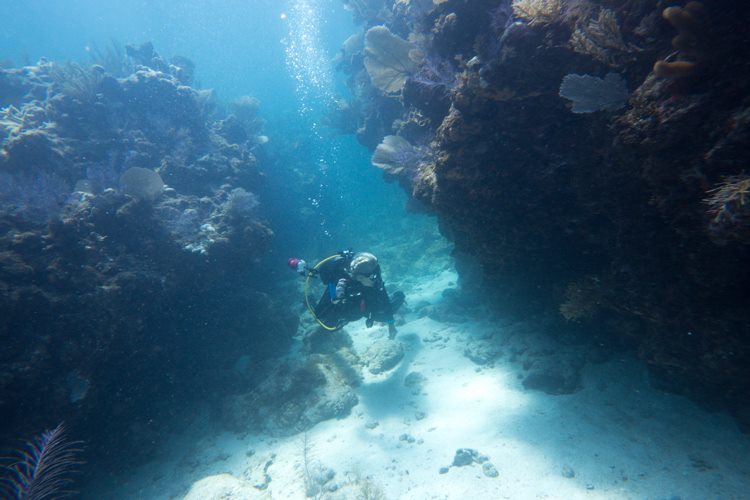 Stephanie in Key Largo underwater canyon.