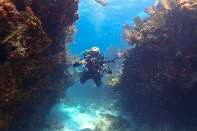 Photographing in underwater canyon with Olympus digital.