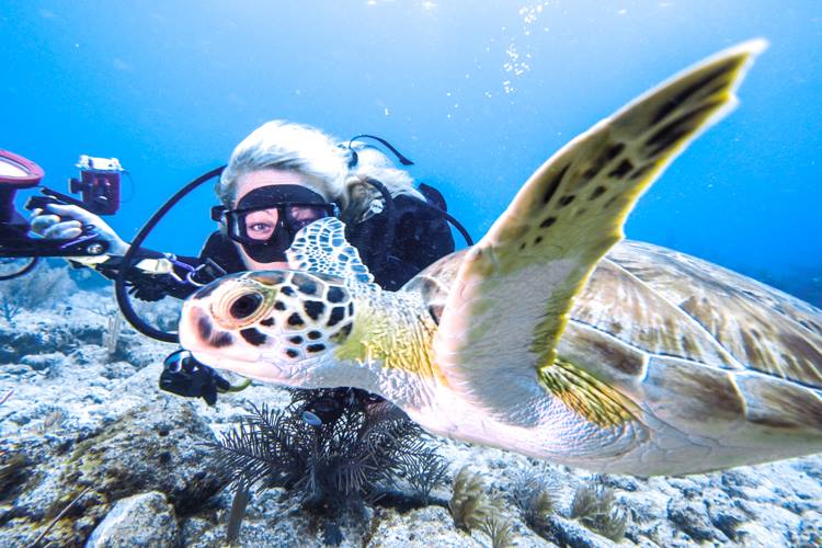 Stephanie on scuba in Florida Keys.