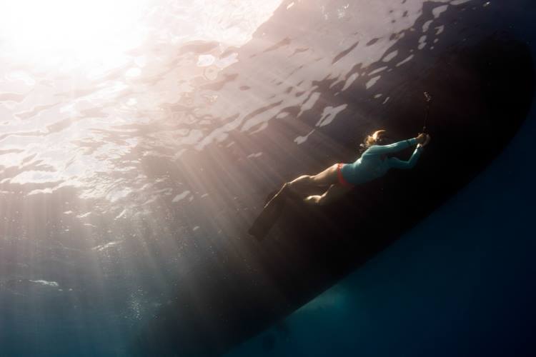 Stephanie diving for hammerheads near San Diego.