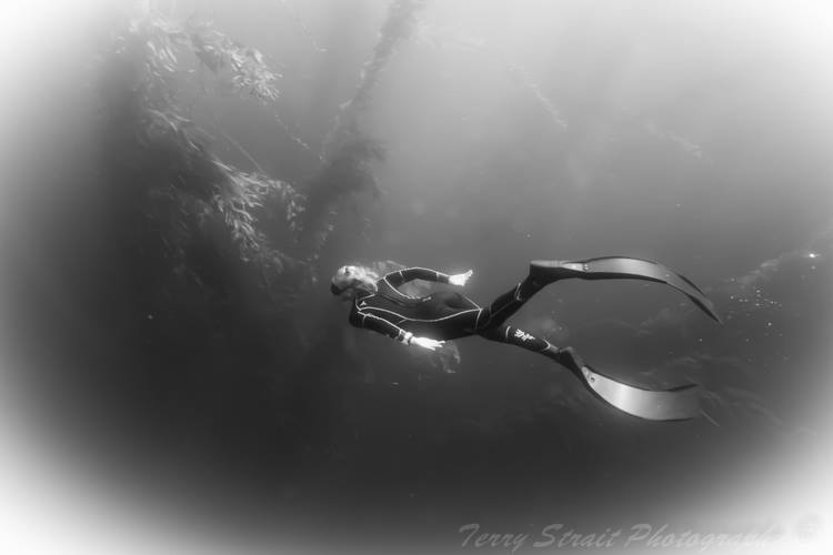 Exploring the kelp forest we love.