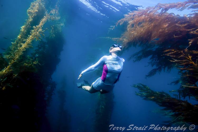 Underwater in San Diego with Mares rash guard.