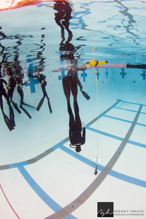 SSI beginner freediving course pool.