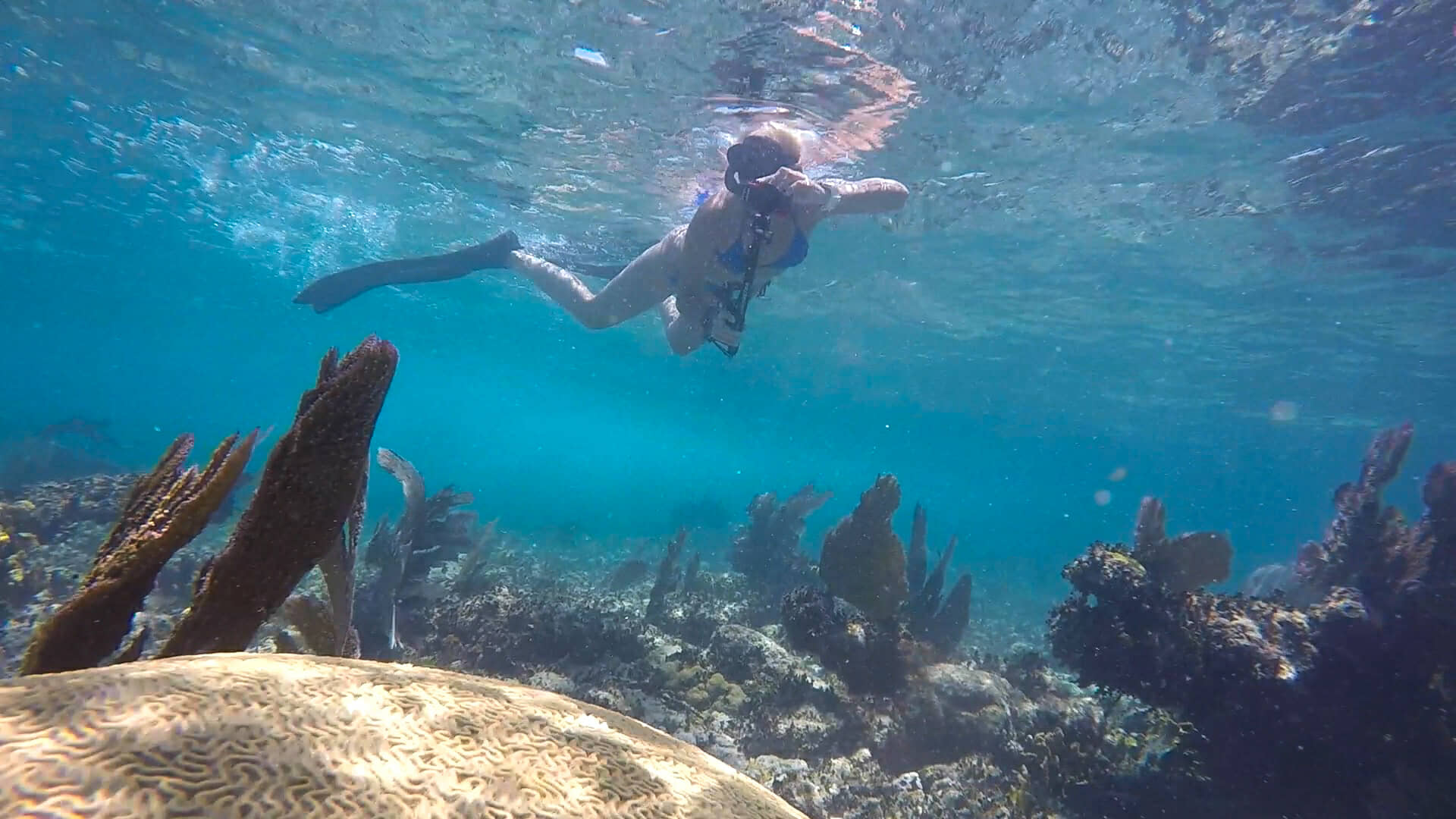 Diving from Isla Mujeres during Family Vacation.