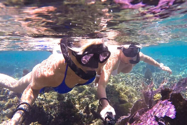 Isla Mujeres coral reef snorkel