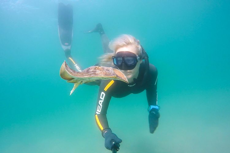 La Jolla Shores snorkel with sting rays.