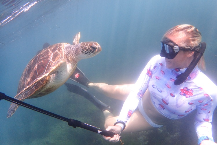 Snorkel at Turtle Town.