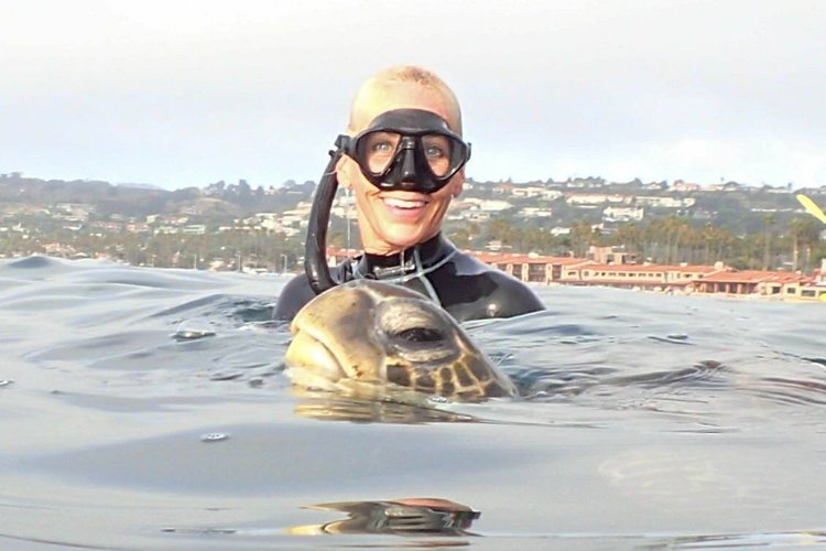 Snorkel along Devil's Slide reef area.