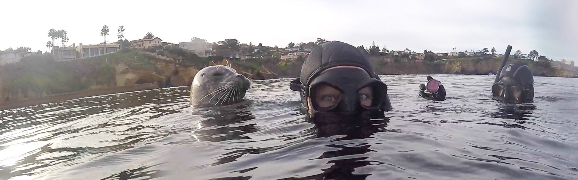 Snorkeling in San Diego.