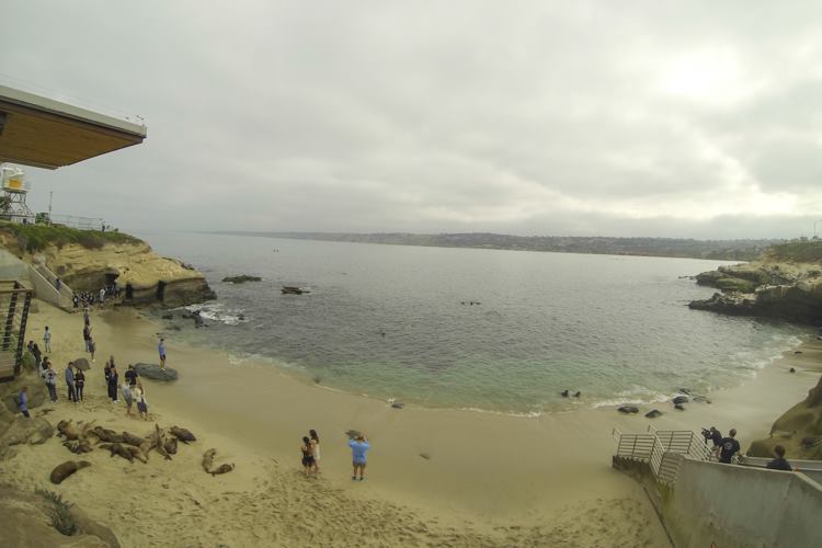 Tide pools at La Jolla Cove beach.