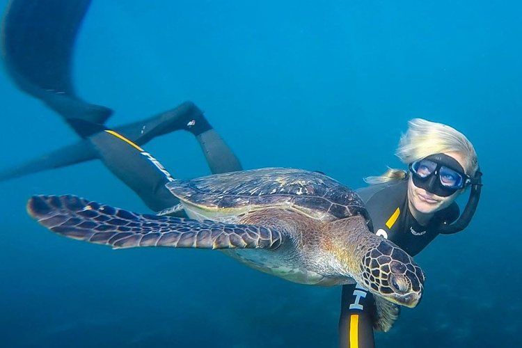 La Jolla sea turtles snorkeling.