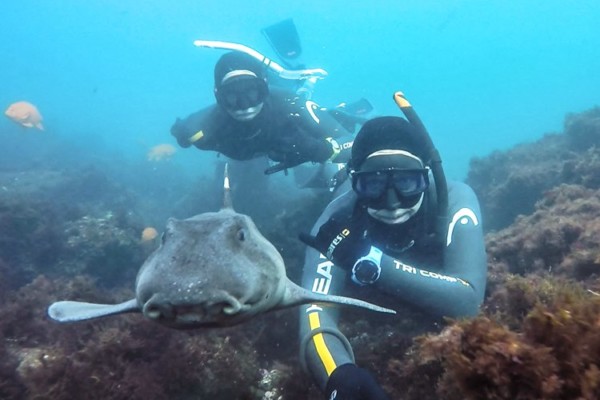 scuba diving trips san diego