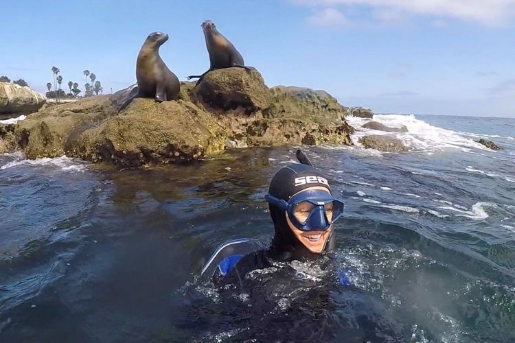 Snorkel with sea lions at La Jolla Cove.