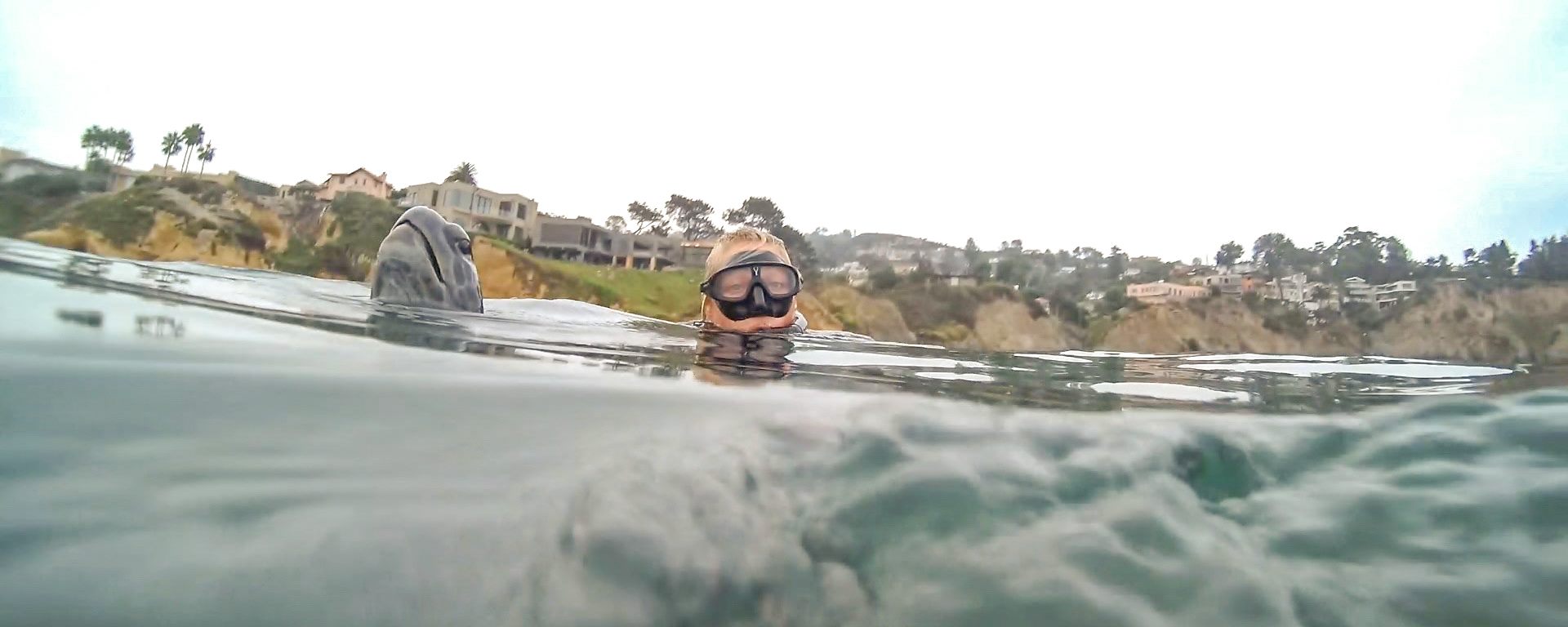 La Jolla snorkeling